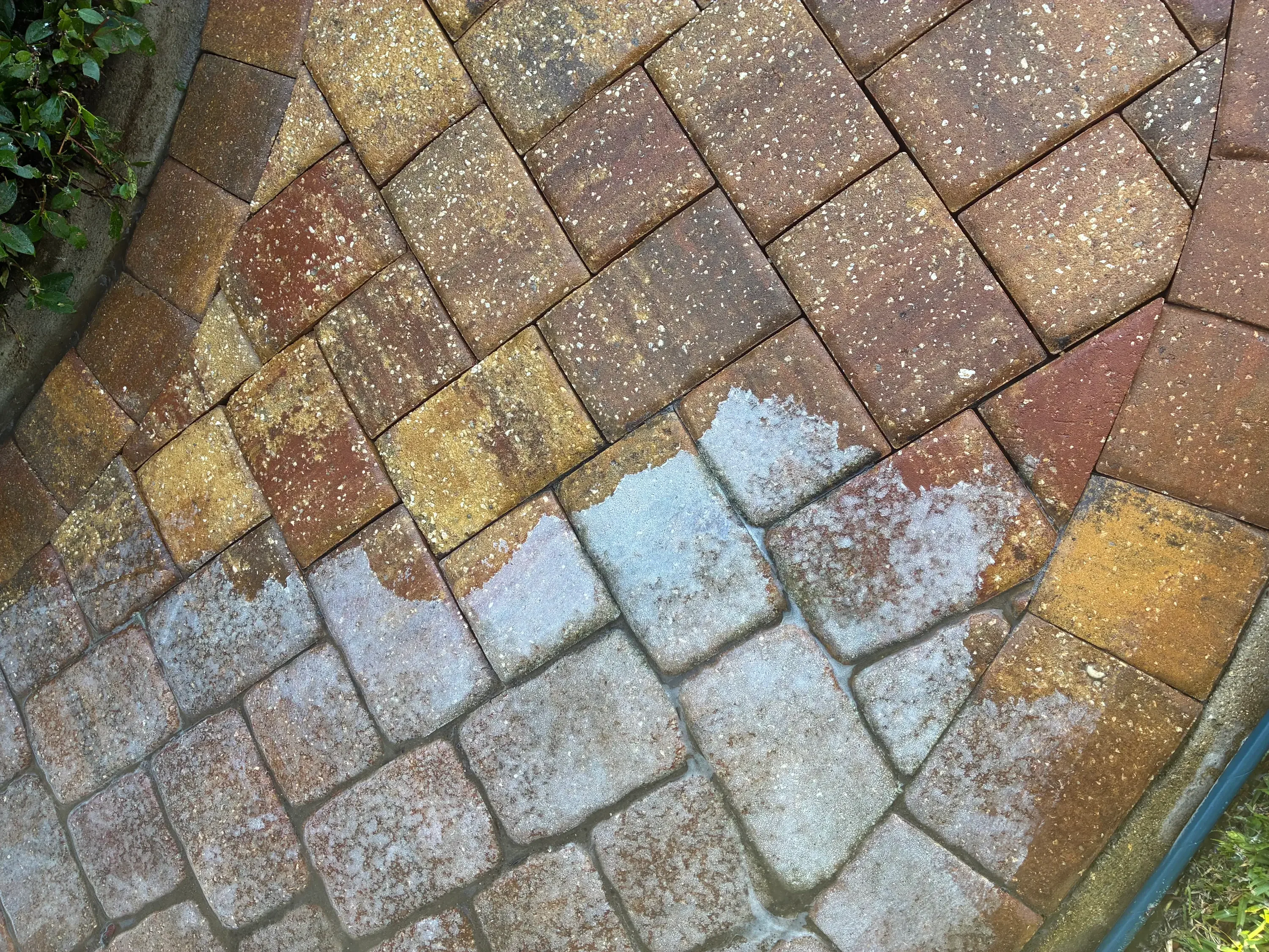 Herringbone paver surface showing cleaned section with restored color versus dirty untreated pavers